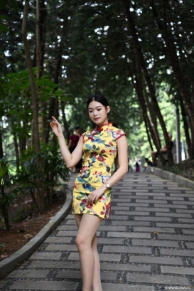 街拍 | 气质旗袍美女