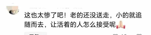老人去世后儿子女婿接连丧命，内幕曝光，网友惊呼：凶手就在身边