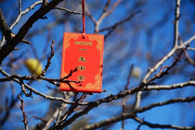 今日二月初一不一般，“77年不遇”，记得：1要去，2要吃，3不做