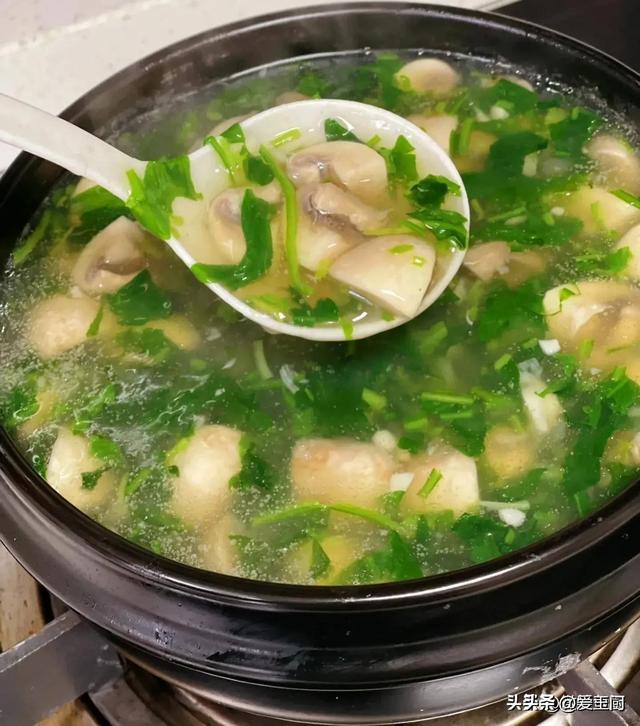 一种不起眼的“天然去火菜”，春季吃正合适，宁可不吃肉也要多吃