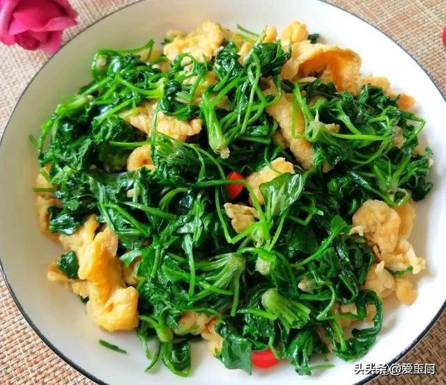 一种不起眼的“天然去火菜”，春季吃正合适，宁可不吃肉也要多吃