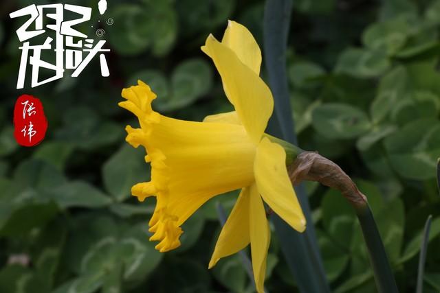 今日二月初二不一般，“77年不遇”，记得：1要去，2要吃，3不做