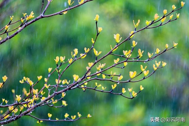 本轮降雨雪冷空气形势转变，大雨暴雪范围已定，今日3月1~2日天气