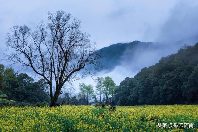 本轮降雨雪冷空气形势转变，大雨暴雪范围已定，今日3月1~2日天气