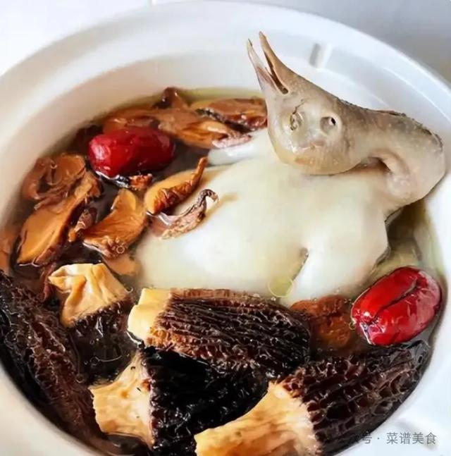 鸽子汤怎么炖补气血，这4道鸽子汤，最是补气增血