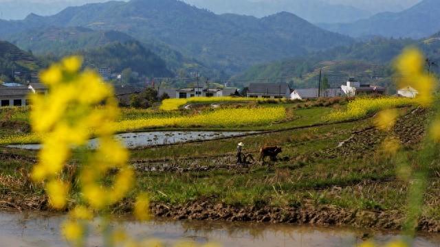 “倒春寒来不来，就看二月初二”，今日二月初二，有啥预兆？