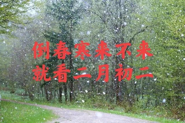 “倒春寒来不来，就看二月初二”，今日二月初二，有啥预兆？