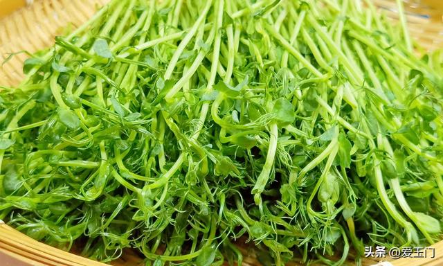 “春吃碱，火气减”，春天多吃这3菜，吃的香睡的好，腿脚有劲！