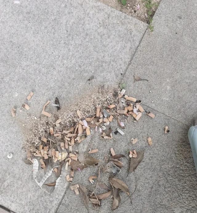 有一种痛苦叫买了“一楼带小院”，幻想很美好，住起来苦不堪言！