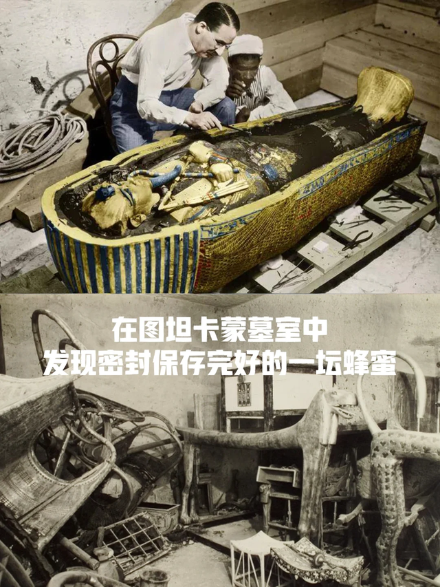 “过期也能吃”的6种食物，告诉家人，别傻傻丢掉了浪费钱！