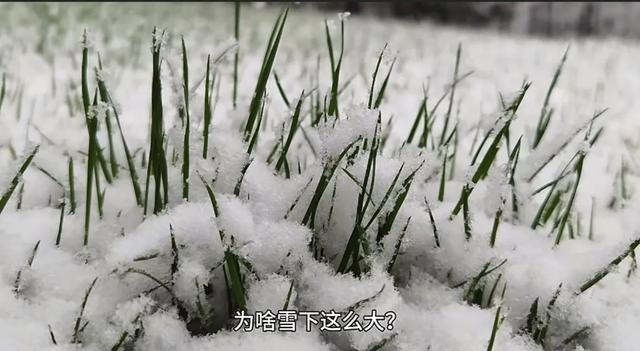 山东暴雪背后的‘神秘力量’！你绝对想不到的原因！