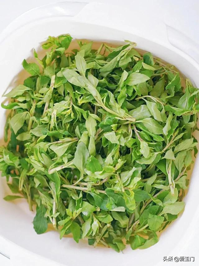 春天宁可不吃肉，也要吃的3种野菜，春天的味道，过季有钱难买到