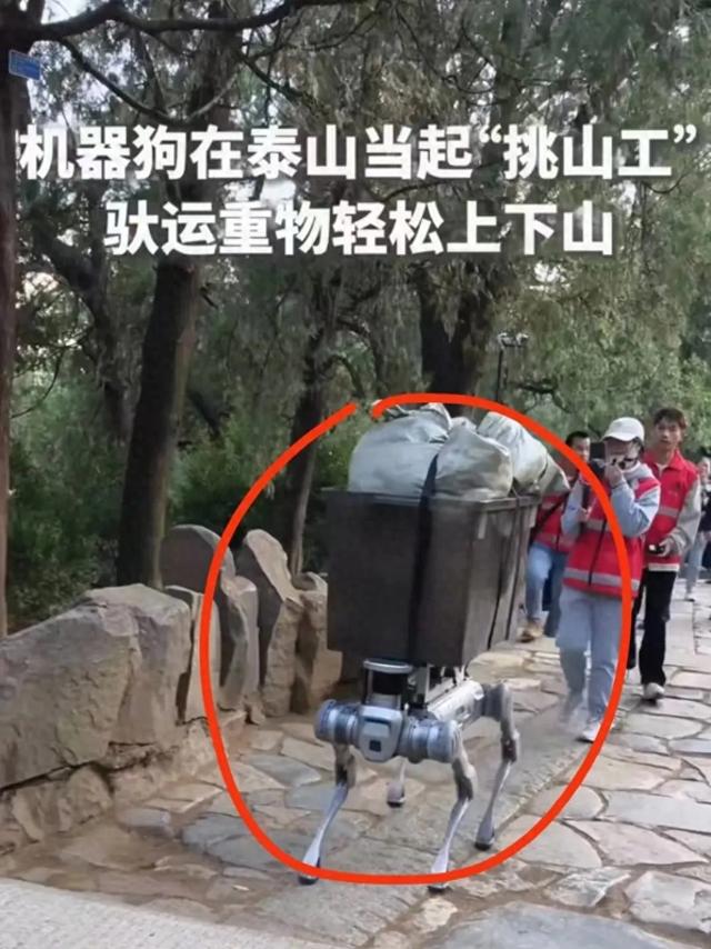 泰山“挑山工”集体沉默！只因为机器狗抢了他们的饭碗！