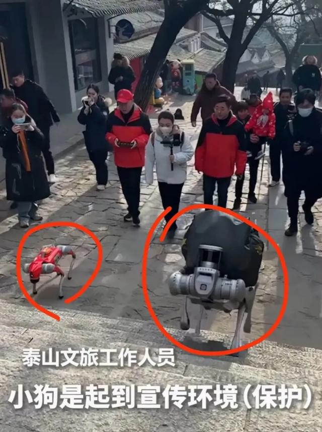 泰山“挑山工”集体沉默！只因为机器狗抢了他们的饭碗！
