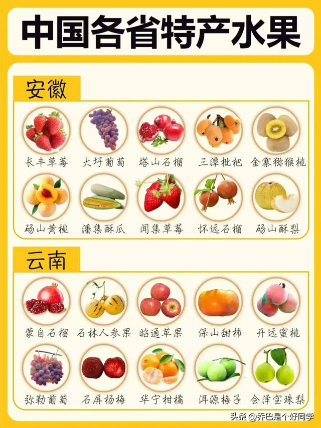 中国32个省市特产水果大盘点！这本地的也没吃全啊！