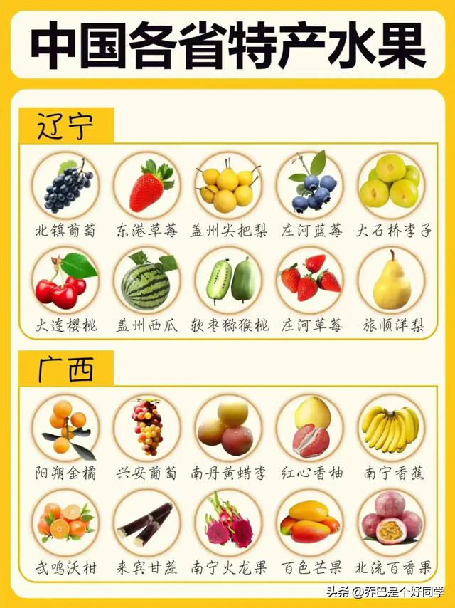 中国32个省市特产水果大盘点！这本地的也没吃全啊！