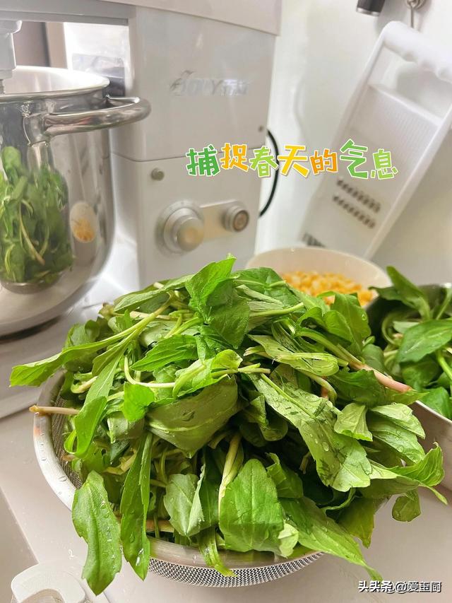 惊蛰至，阳气升，建议大家多吃4道清爽菜，疏肝解郁，清爽过春天