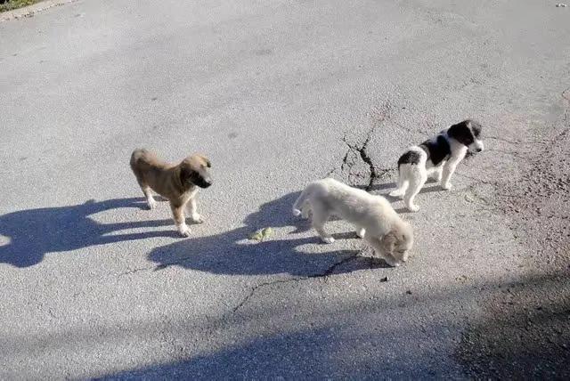 两会第一天，传出4大好消息！老百姓拍手叫好：这才是人民好代表
