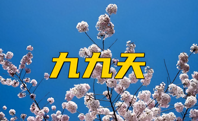 明日交“九九”，老话“九九吃3菜，一年病不沾”，老传统不要忘
