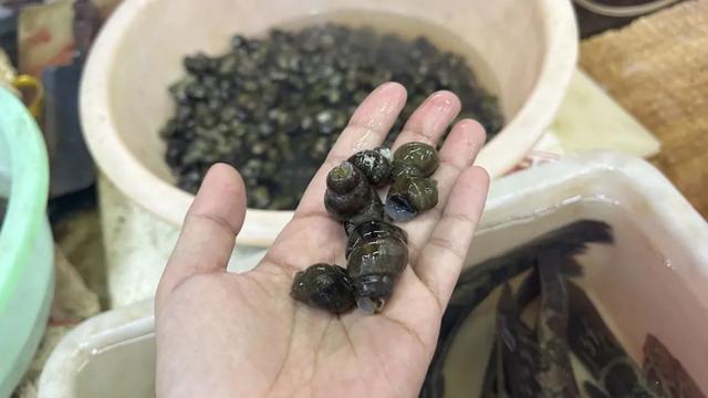 近期爆火！很多人爱吃的这个美味，刚刚上市！一天卖100斤，马上要涨价！