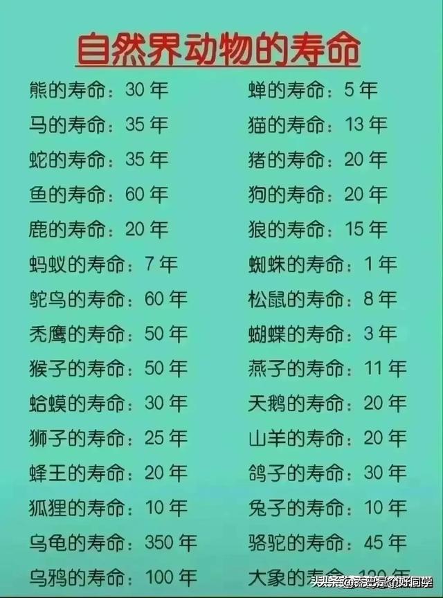 百年老店排行榜，终于有人整理出来了，收藏起来看看吧