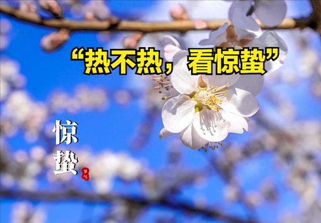 “热不热，看惊蛰”，今日惊蛰有啥预兆？今年夏天会热死牛？