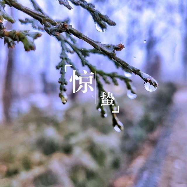 “热不热，看惊蛰”，今日惊蛰有啥预兆？今年夏天会热死牛？