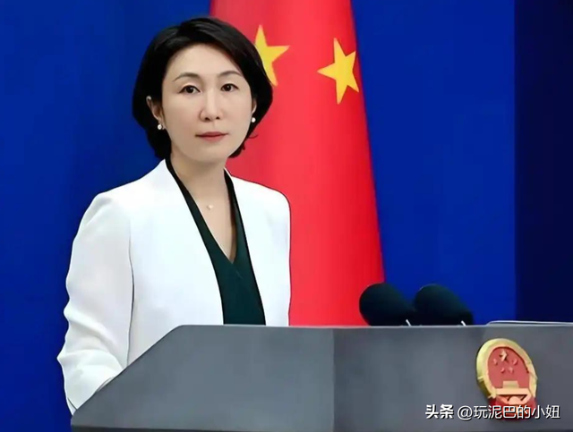 我外交部话音刚落，港口将被收购？黑石集团高层赴京，要上硬菜了