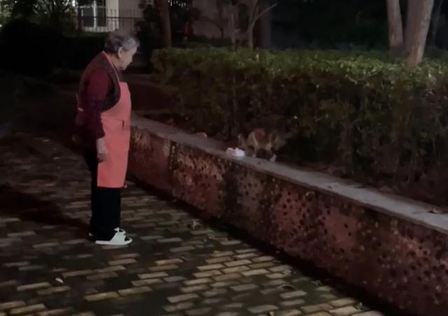 毁三观！老鼠人文化荼毒00后，追求自残式生存，许多家长一无所知