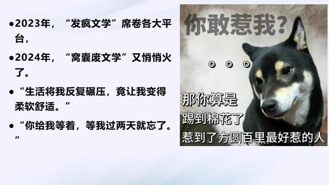 毁三观！老鼠人文化荼毒00后，追求自残式生存，许多家长一无所知