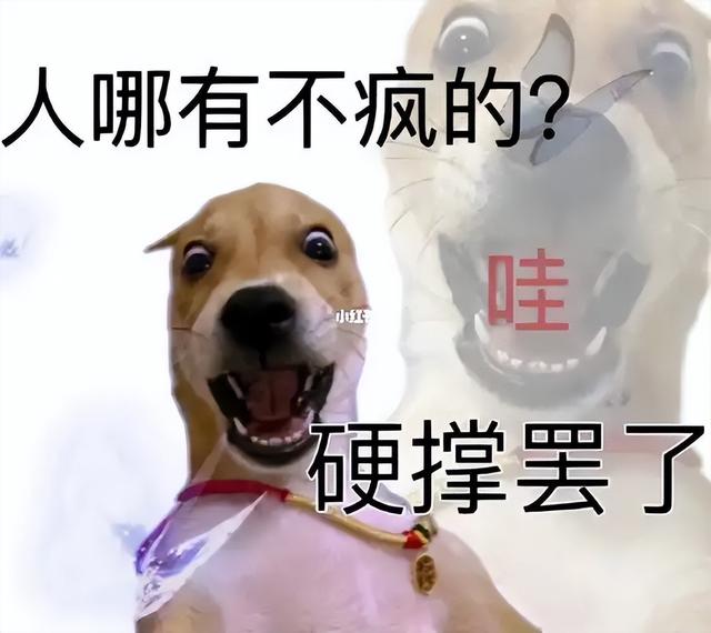 毁三观！老鼠人文化荼毒00后，追求自残式生存，许多家长一无所知