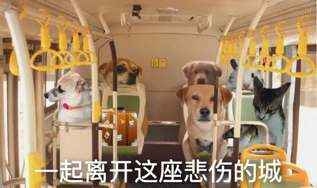 毁三观！老鼠人文化荼毒00后，追求自残式生存，许多家长一无所知