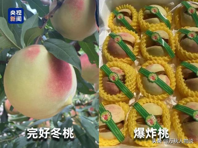 央视曝光“5大水果骗局”，越看越恶心，难怪老百姓身体越吃越差