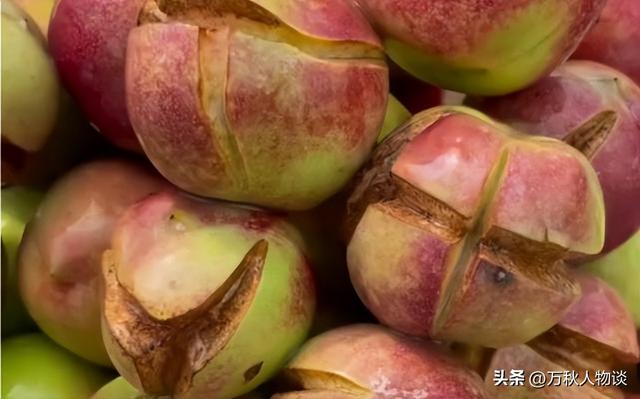 央视曝光“5大水果骗局”，越看越恶心，难怪老百姓身体越吃越差