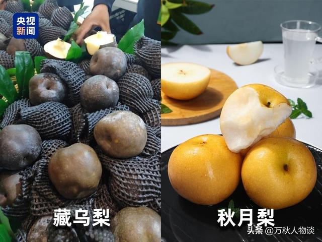 央视曝光“5大水果骗局”，越看越恶心，难怪老百姓身体越吃越差