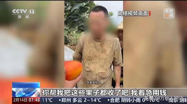 央视曝光“5大水果骗局”，越看越恶心，难怪老百姓身体越吃越差
