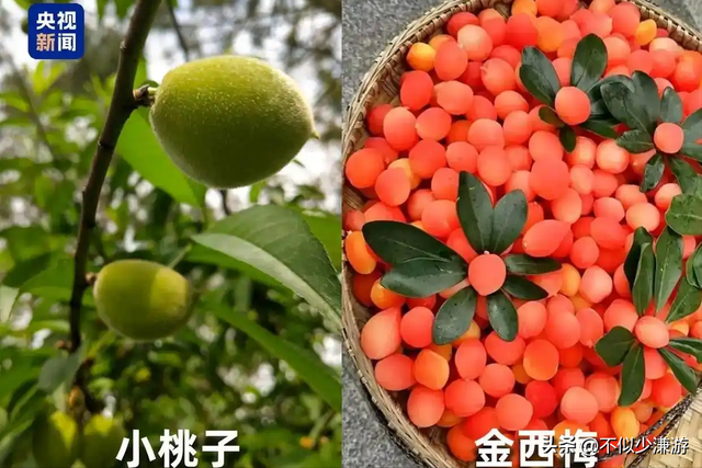 水果也塌了，央视曝光6大“水果骗局”，越看越害怕，别再踩坑了