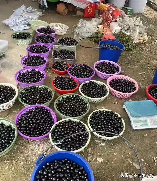 水果也塌了，央视曝光6大“水果骗局”，越看越害怕，别再踩坑了