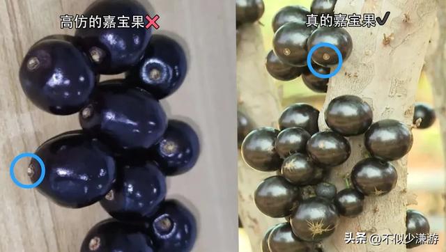 水果也塌了，央视曝光6大“水果骗局”，越看越害怕，别再踩坑了