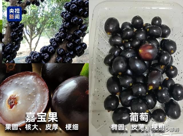 水果也塌了，央视曝光6大“水果骗局”，越看越害怕，别再踩坑了