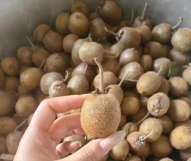 水果也塌了！央视曝光4大“假水果骗局”，越看越害怕，还敢吃吗