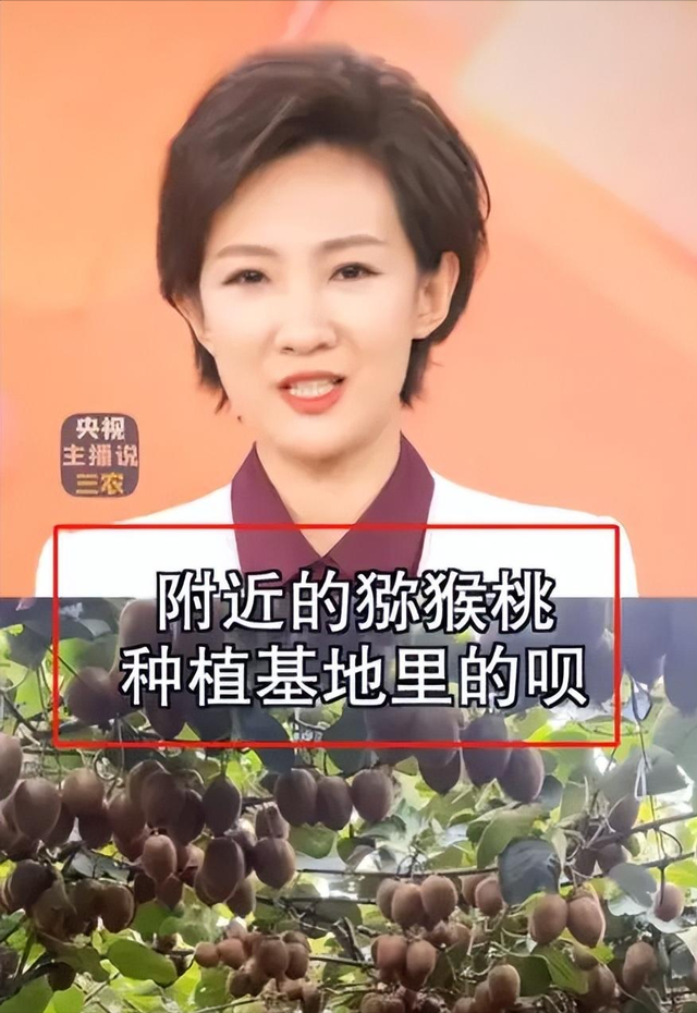 水果也塌了！央视曝光4大“假水果骗局”，越看越害怕，还敢吃吗