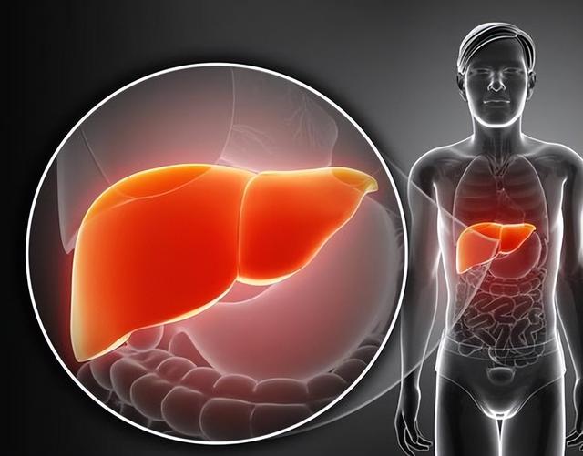红薯立大功？医生发现：红薯可在24小时内稳定66%血糖水平？