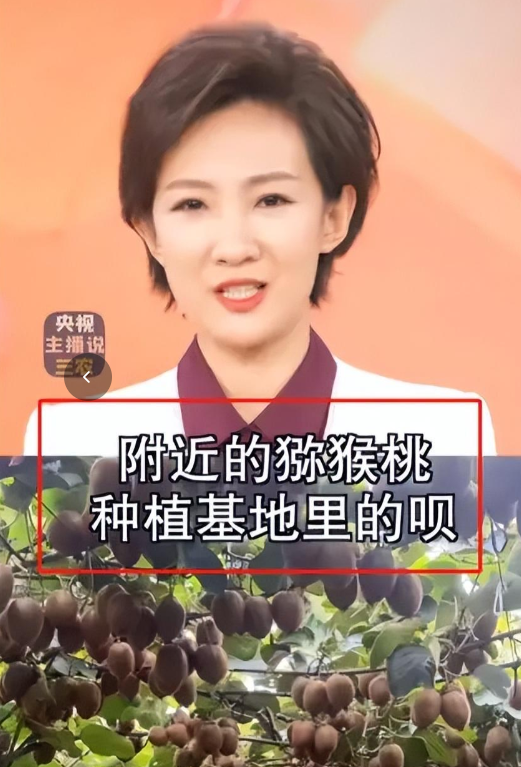水果也塌了！央视曝光4大“假水果骗局”，越看越害怕，还敢吃吗