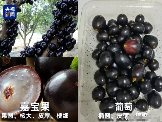 水果也塌了！央视曝光4大“假水果骗局”，越看越害怕，还敢吃吗