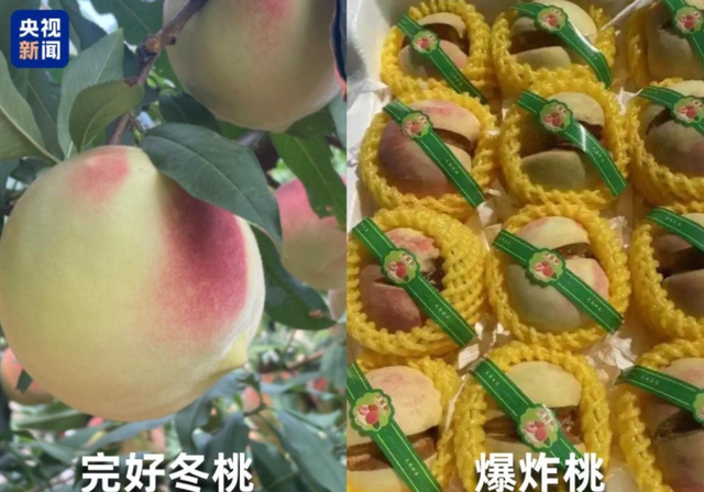 水果也塌了，央视曝光5大“水果骗局”，越看越害怕，别再踩坑了