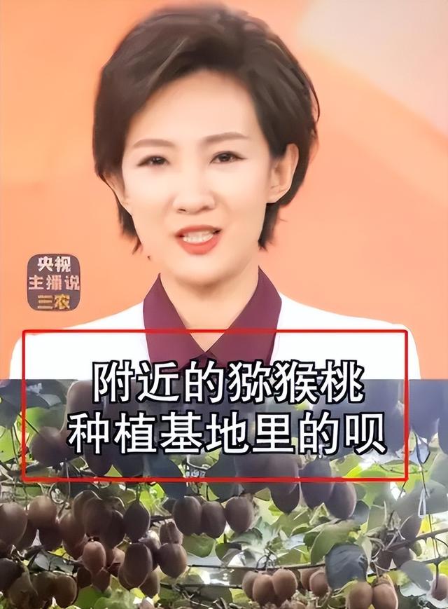 水果也塌了，央视曝光5大“水果骗局”，越看越害怕，别再踩坑了