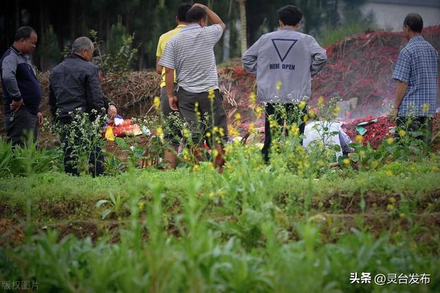 4月4日清明节，“上坟不能随便上，一代不祭三代坟”，什么意思？
