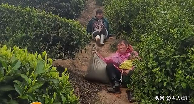 刷爆热搜的“浙江采茶女”变乱，曝光了当下社会多少高高在上的人