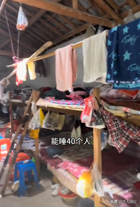 刷爆热搜的“浙江采茶女”变乱，曝光了当下社会多少高高在上的人
